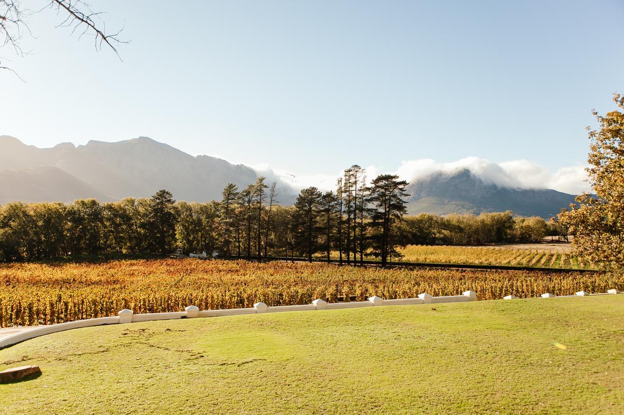 Rickety Bridge Manor House Pensionat Franschhoek Eksteriør billede