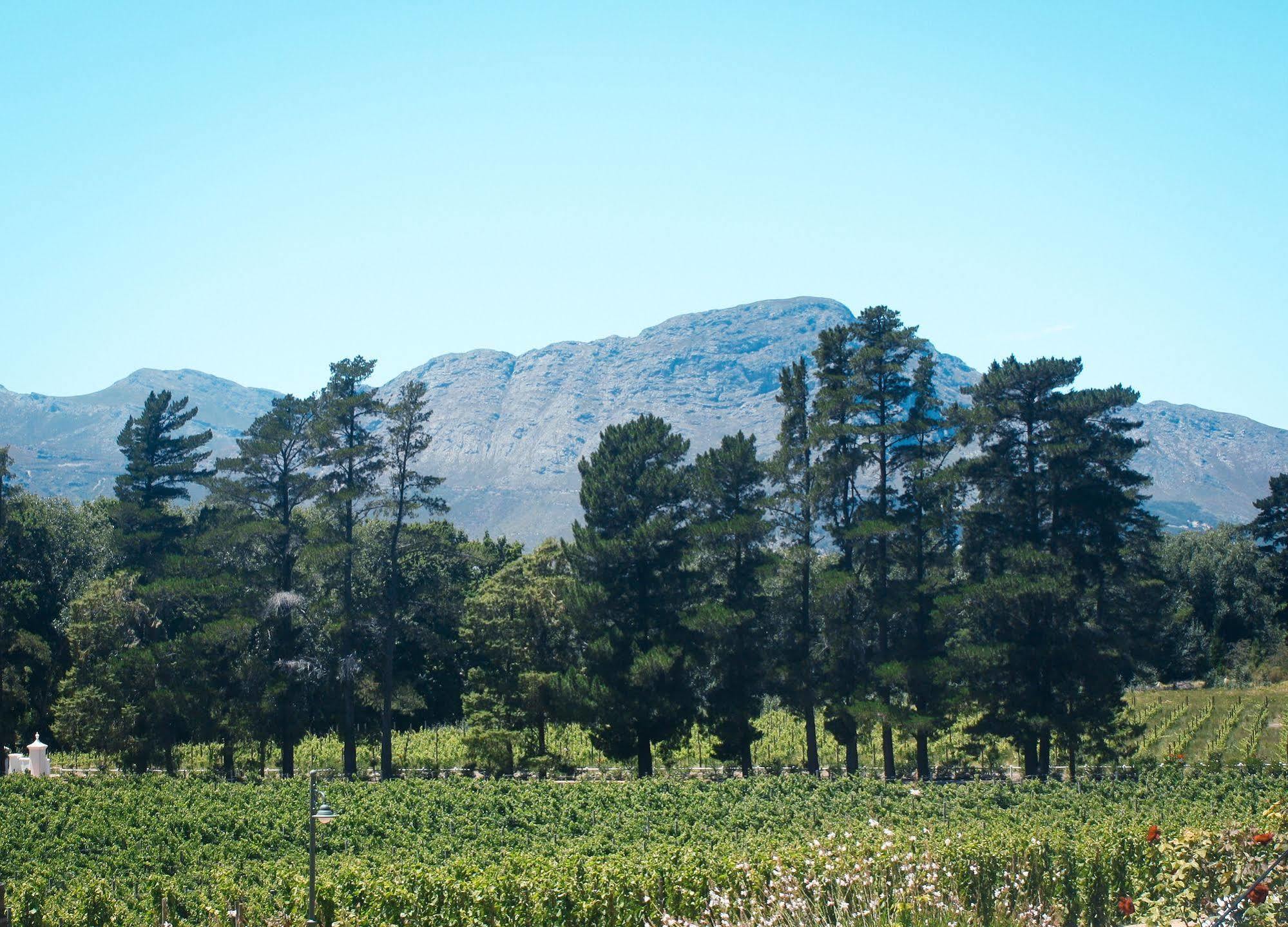Rickety Bridge Manor House Pensionat Franschhoek Eksteriør billede